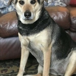 Meet your Posher, Joanne